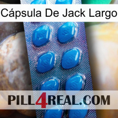 Cápsula De Jack Largo viagra1